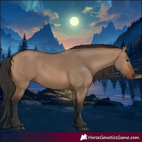 Horse Color:Brown Dun 