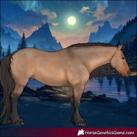 Horse Color:Brown Dun 