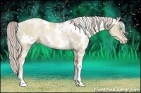 Horse Color:White Spotted Chocolate Palomino Pearl Dun