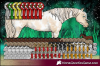 Horse Color:White Spotted Chocolate Palomino Pearl Dun