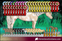 Horse Color:White Spotted Palomino Pearl 