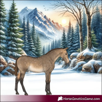 Horse Color:Buckskin Dun Appaloosa 