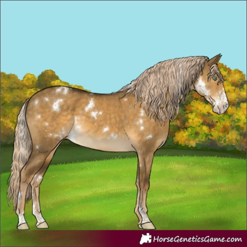 Horse Color:White Spotted Chocolate Palomino Dun Mushroom Sabino 
