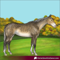 Horse Color:Silver Buckskin Dun Mushroom Sabino Brindle 