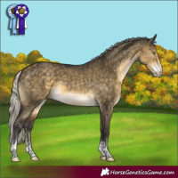 Horse Color:Silver Buckskin Dun Mushroom Sabino Brindle 