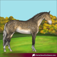 Horse Color:Silver Buckskin Dun Mushroom Sabino Brindle 