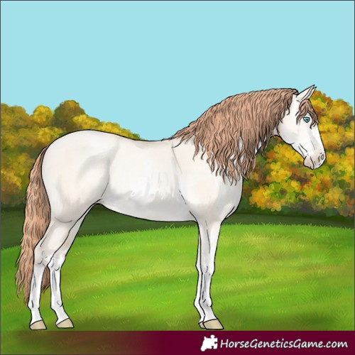 Horse Color:Sable Cream Champagne Pearl Dun Sabino