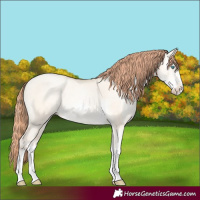 Horse Color:Sable Cream Champagne Pearl Dun Sabino 