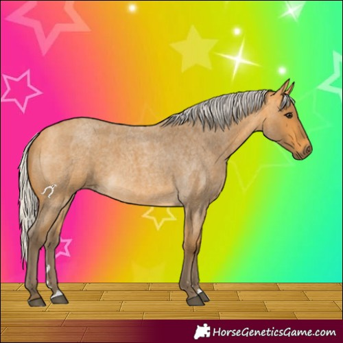 Horse Color:Silver Buckskin Roan 