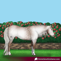 Horse Color:Gray Silver Black Pearl Tobiano 