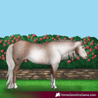 Horse Color:Gray Silver Black Pearl Tobiano 
