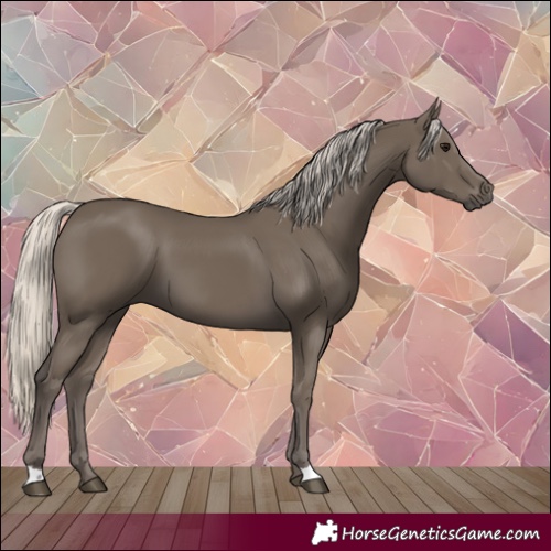 Horse Color:Silver Smoky Black 