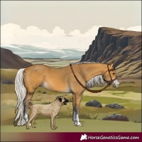 Horse Color:Silver Buckskin 