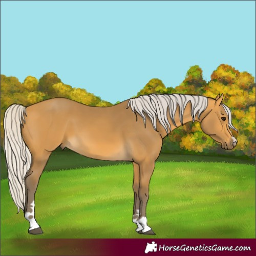 Horse Color:Silver Buckskin