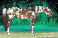 Horse Color:White Spotted Liver Chestnut 