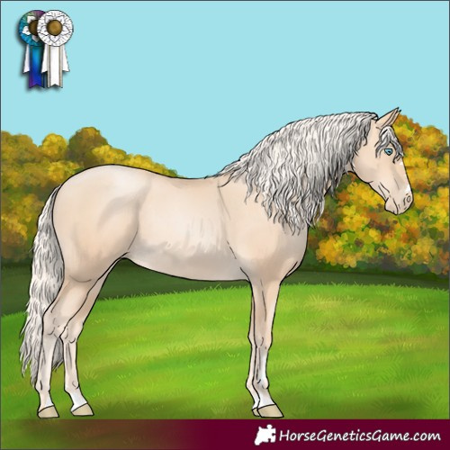 Horse Color:Gold Cream Champagne Pearl Rabicano 
