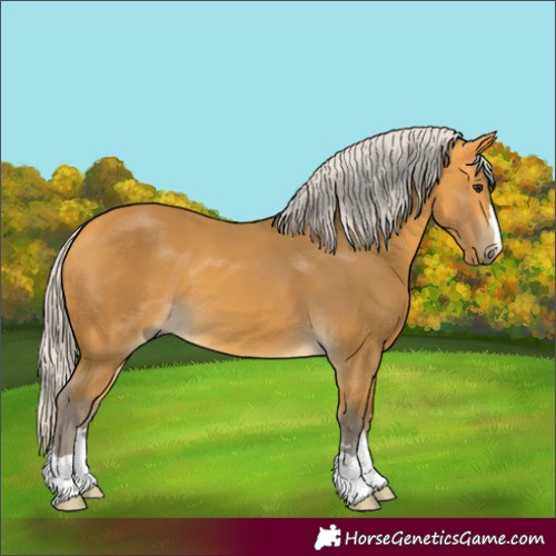 Horse Color:Silver Buckskin 