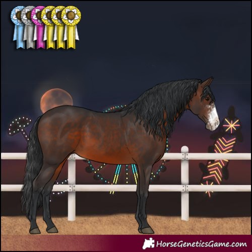 Horse Color:Brown Sabino 