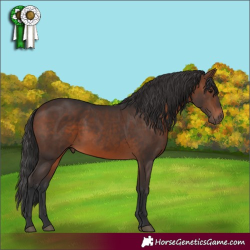 Horse Color:White Spotted Brown 