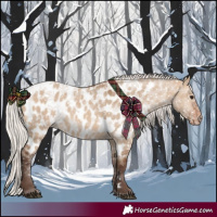 Horse Color:Silver Brown Dun Near Leopard 