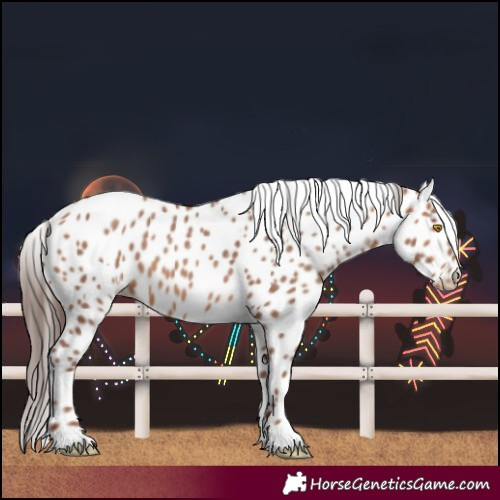 Horse Color:Amber Champagne Leopard  and Amber Champagne Leopard 