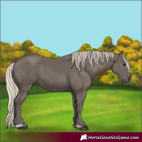 Horse Color:Silver Smoky Black 