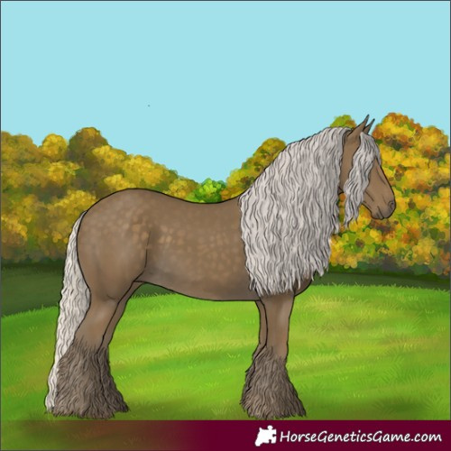 Horse Color:Silver Smoky Black 