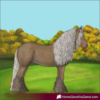 Horse Color:Silver Smoky Black