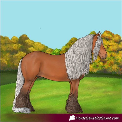Horse Color:Silver Bay 