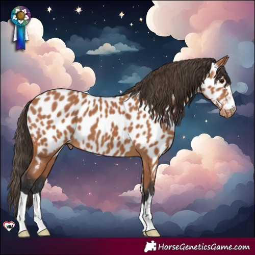 Horse Color:Bay Near Leopard 