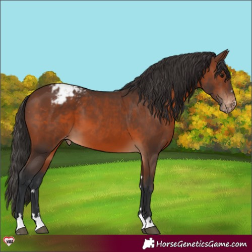 Horse Color:Brown Varnish 