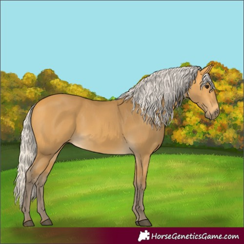 Horse Color:Silver Buckskin 