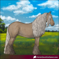 Horse Color:Silver Smoky Grullo 