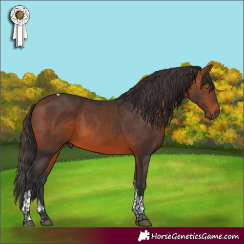 Horse Color:Bay Tobiano 