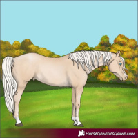 Horse Color:Silver Buckskin Pearl Rabicano 