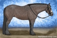Horse Color:Bay Ice 