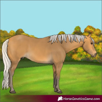 Horse Color:Silver Buckskin