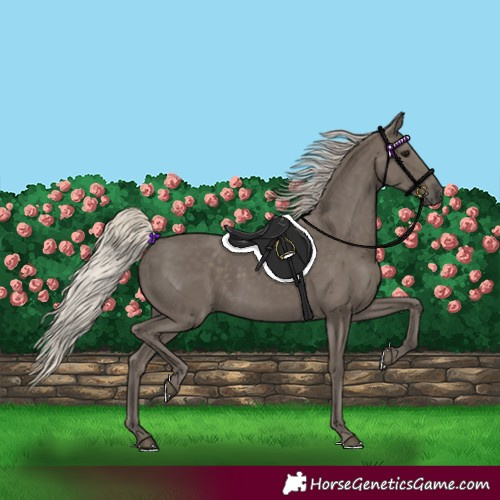 Horse Color:Silver Smoky Black 
