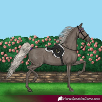 Horse Color:Silver Smoky Black 