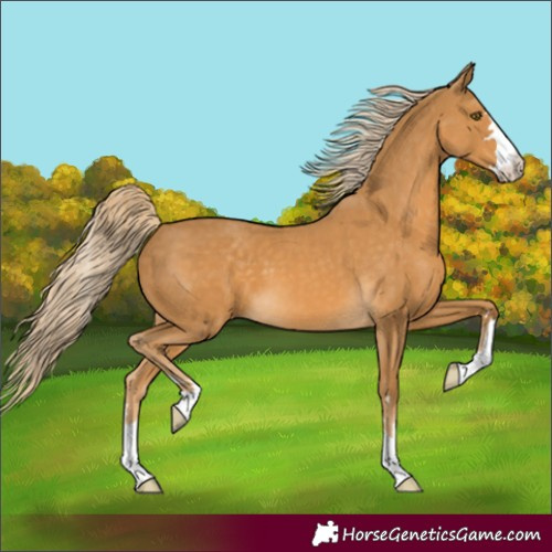 Horse Color:Palomino 