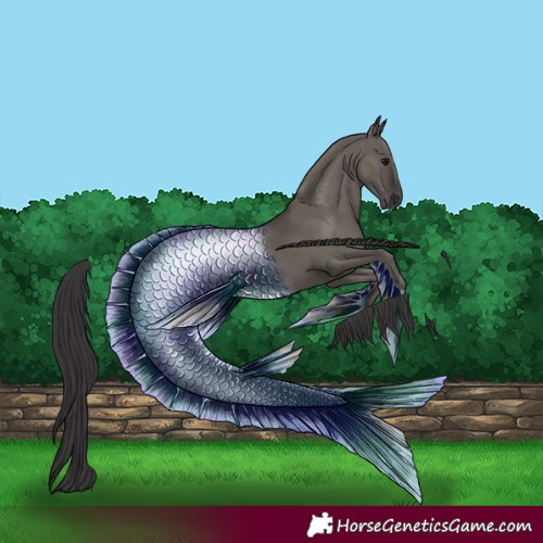 Horse Color:Smoky Grullo 