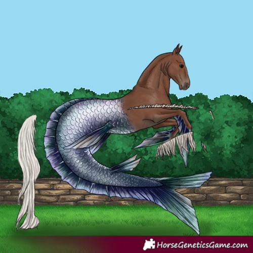 Horse Color:Silver Black 