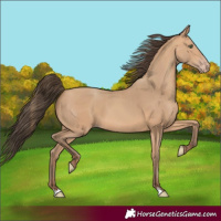 Horse Color:Amber Champagne 
