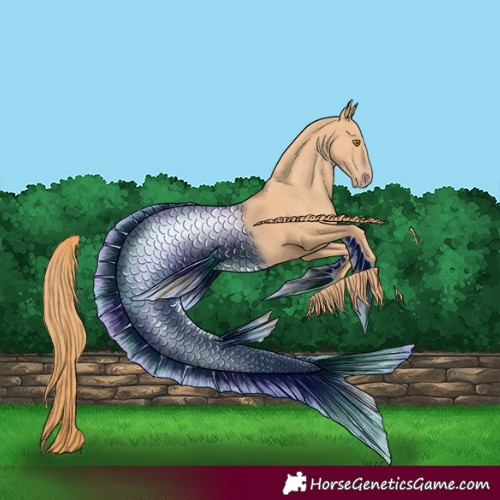 Horse Color:Gold Champagne 