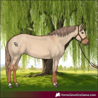 Horse Color:Red Dun