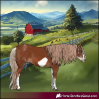 Horse Color:White Spotted Chestnut Frame