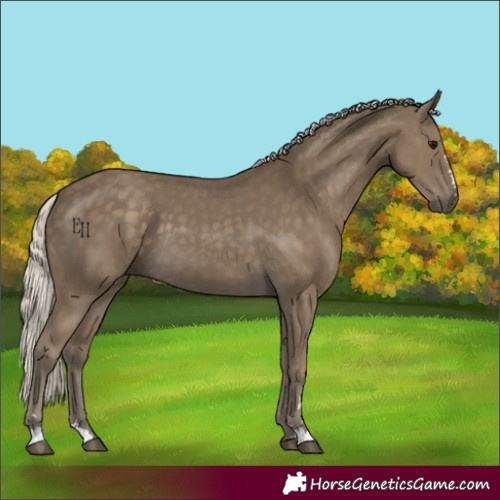 Horse Color:Silver Smoky Black 