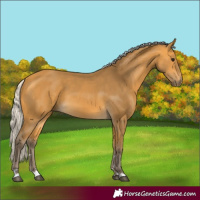 Horse Color:Silver Buckskin 