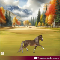 Horse Color:Chocolate Palomino 