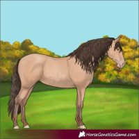 Horse Color:Amber Champagne